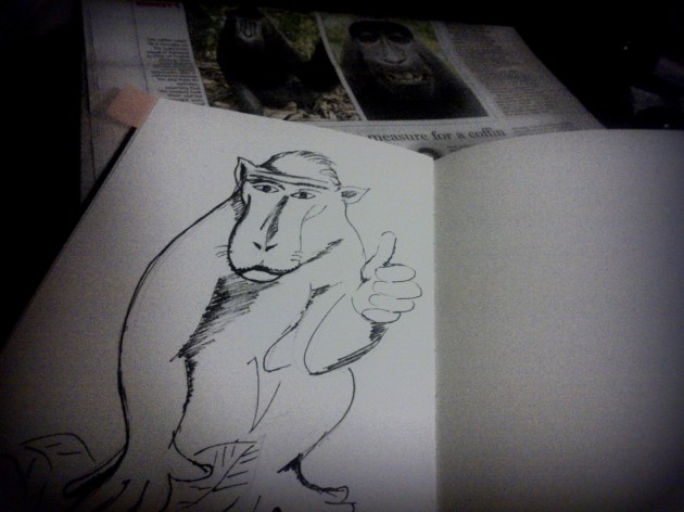 Crested Black Macque Ape