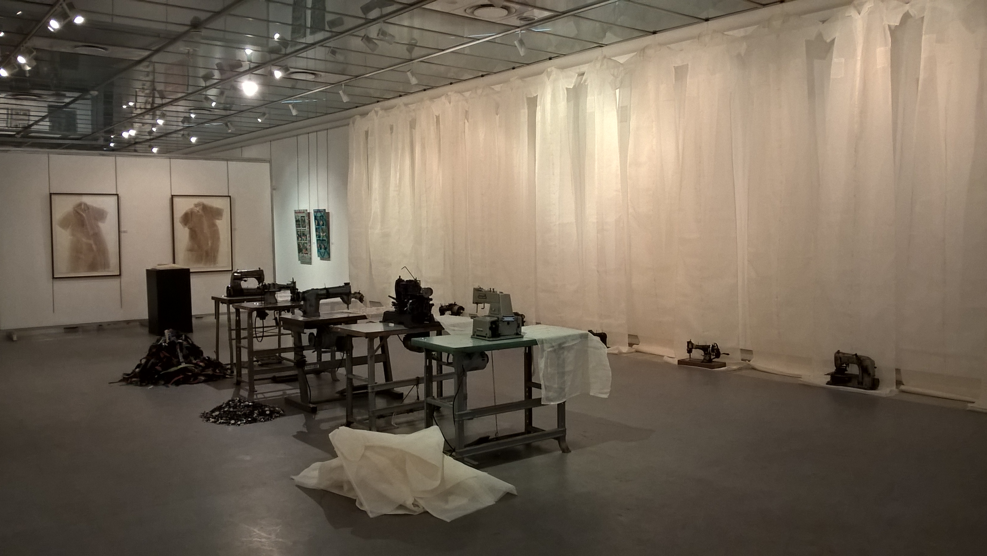 WP_20170824_08_40_45_Pro