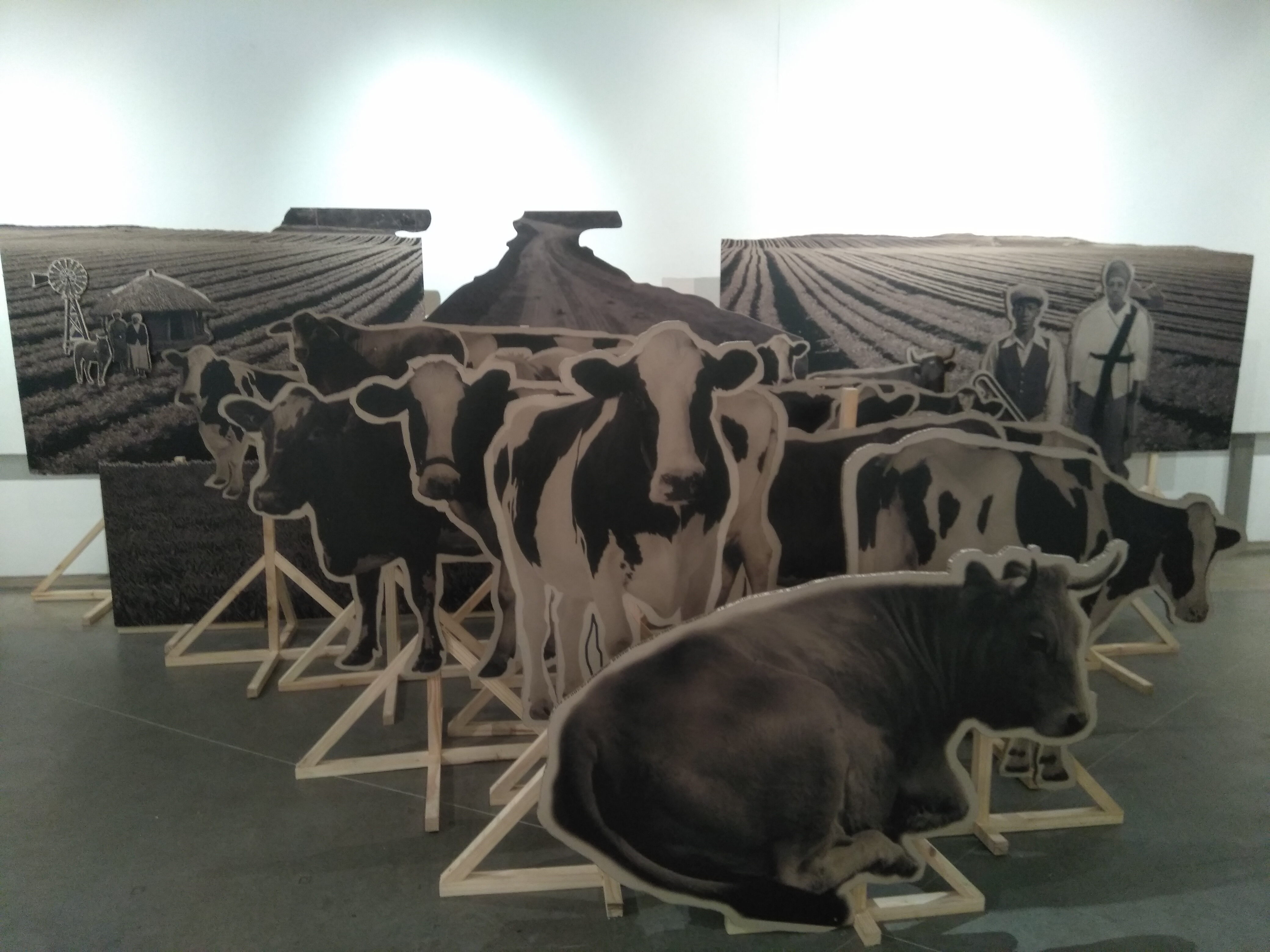 Mohlokomedi wa Tora Installation 3